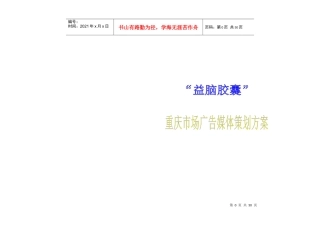 益脑胶囊广告市场策划方案