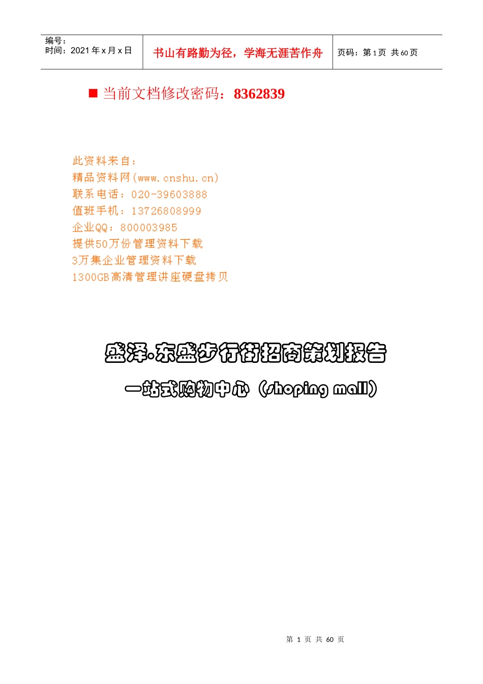 盛泽.东盛步行街招商策划方案_第1页