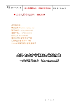 盛泽.东盛步行街招商策划方案