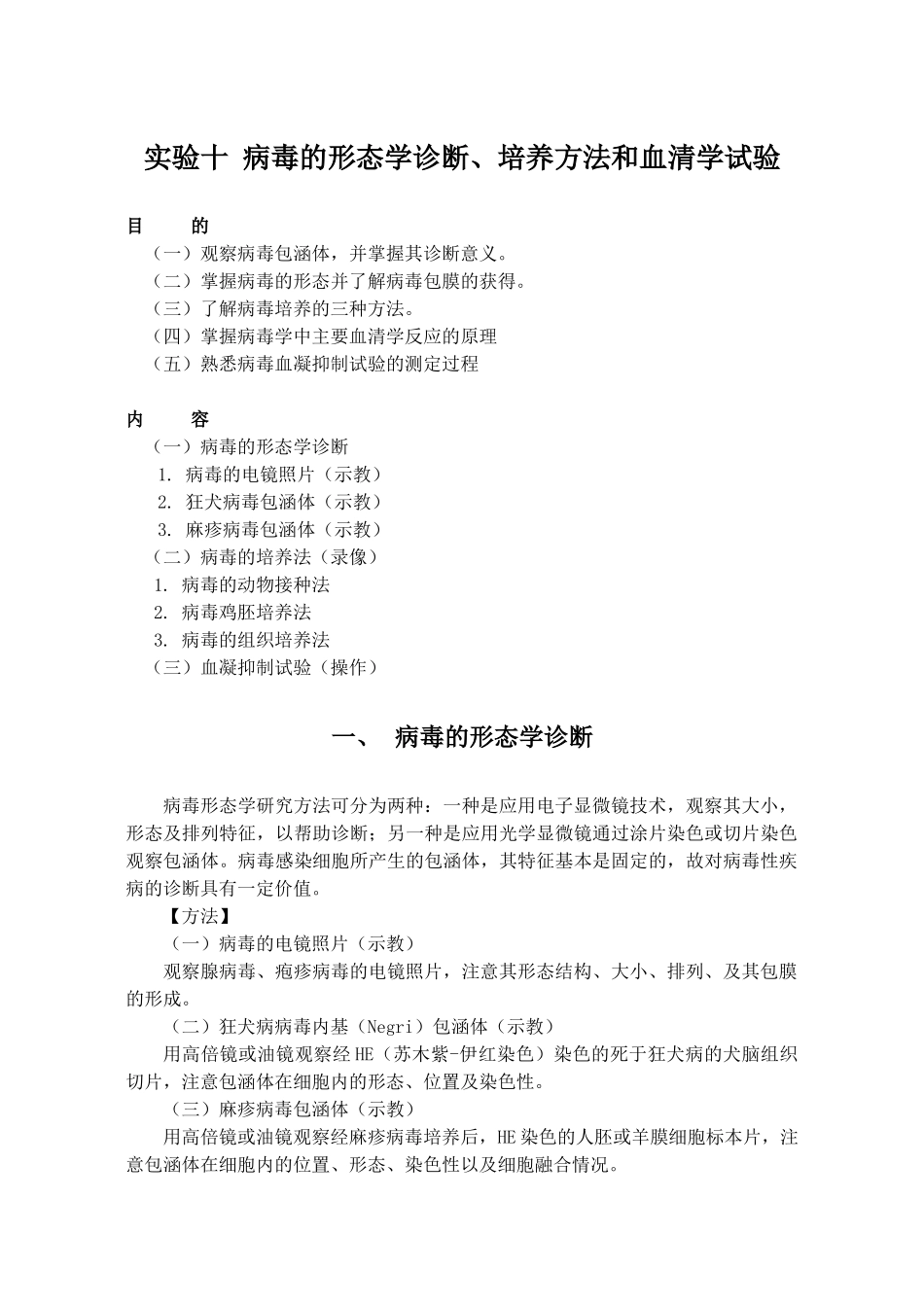 病毒的形态学诊断_第1页