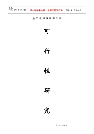 益阳市中小企业信用担保有限公司可行性研究报告