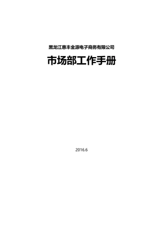 电子商务有限公司市场部工作手册