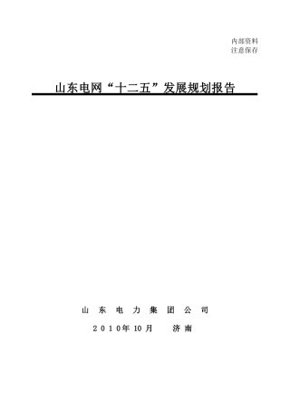 电网十二五发展规划报告