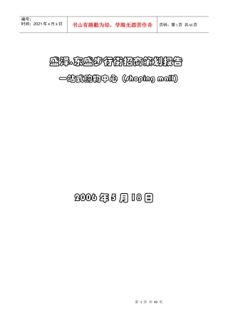 盛泽.东盛步行街招商策划报告一站式购物中心