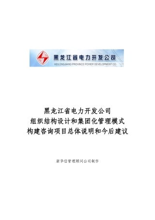 电力开发公司咨询项目--总体说明和今后建议