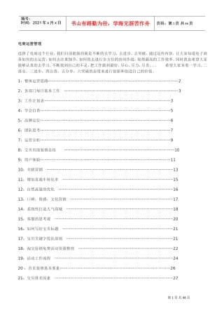电商运营管理(DOC43页)