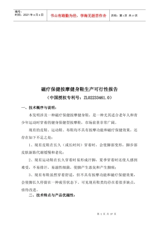 磁疗保健按摩健身鞋生产可行性报告