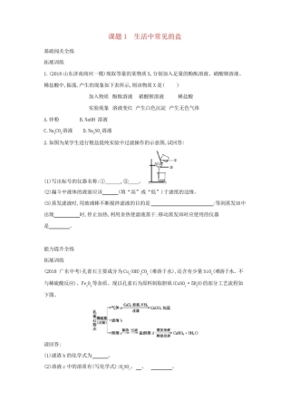 人教版九年级下册化学第十一单元《生活中常见的盐》练习题(附答案)