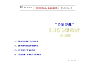 益脑胶囊广告媒体策划方案