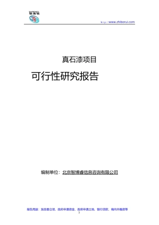 真石漆项目可行性研究报告2