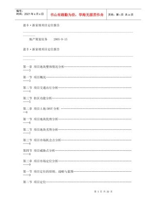 盈丰·新家坡项目定位报告(1)