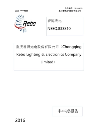 睿博光电：XXXX年半年度报告