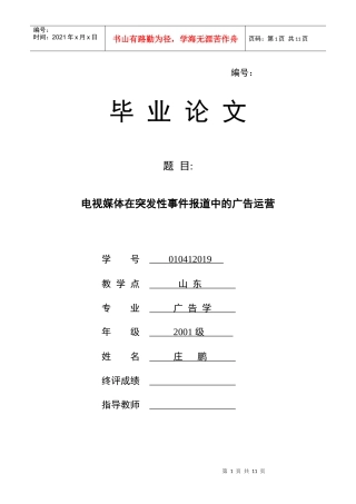 电视媒体在突发性事件报道中的广告运营