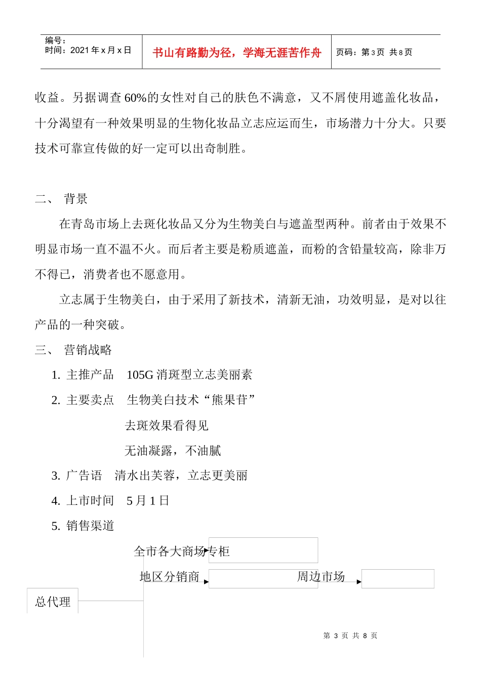 立志美丽素系列化妆品上市方案(1)_第3页