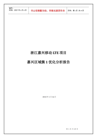 移动LTE项目嘉禾簇优化总结报告