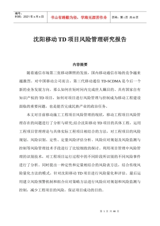 移动TD项目风险管理研究报告