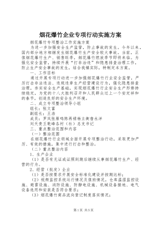 烟花爆竹企业专项行动方案 