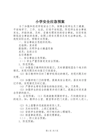 小学安全应急处置预案 