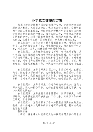 小学党支部整改实施方案 