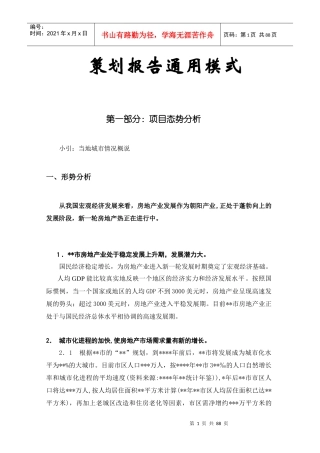 策划报告通用模式王振宇01.3（推荐DOC84）