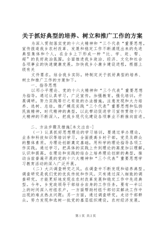 关于抓好典型的培养、树立和推广工作的实施方案 