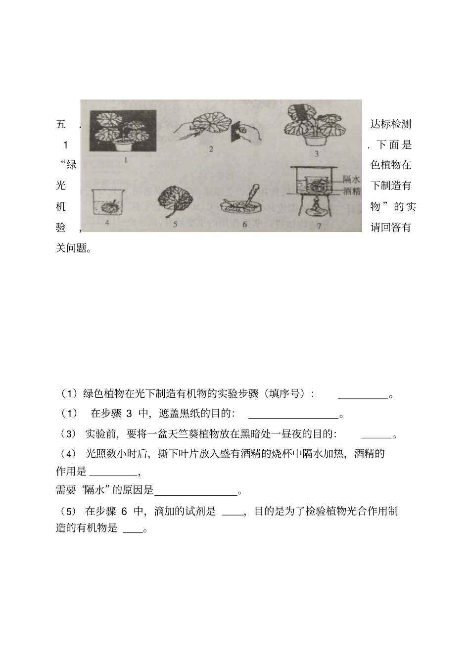 初中生物《绿色植物的光合作用复习》优质课教案、教学设计_第3页
