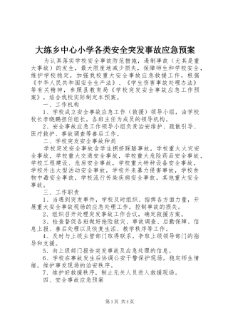 大练乡中心小学各类安全突发事故应急处理预案 