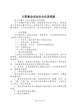 大型集会活动安全应急处理预案 