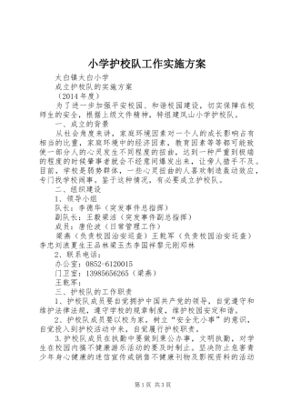 小学护校队工作方案 