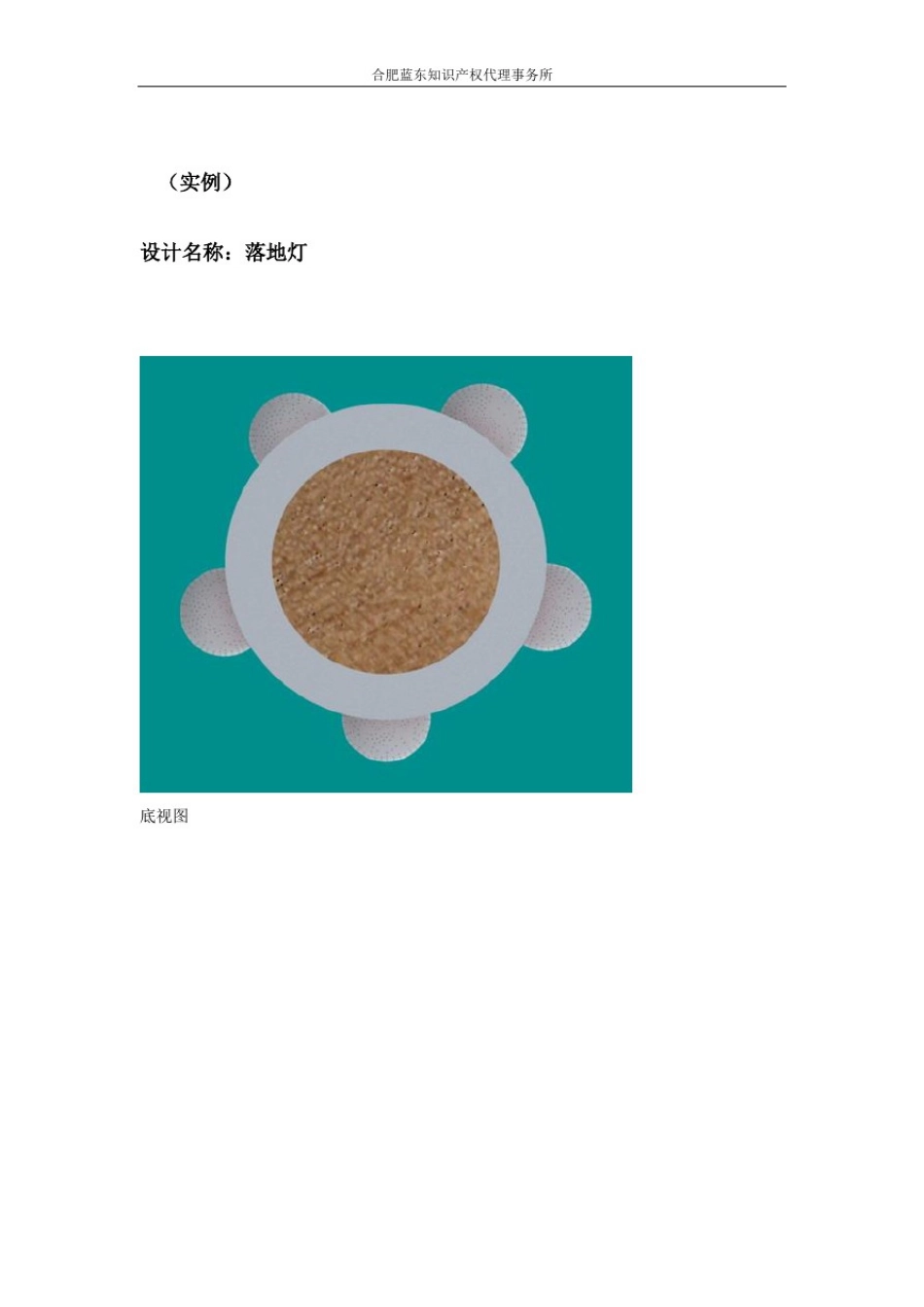 外观设计交底模板实例_第2页