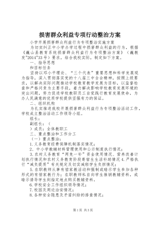 损害群众利益专项行动整治实施方案 