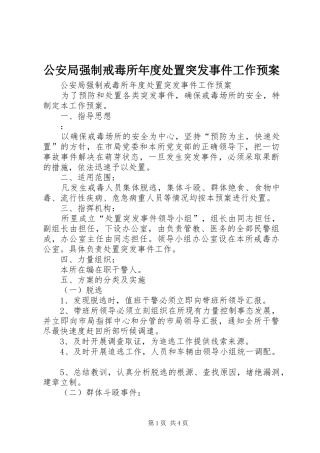公安局强制戒毒所年度处置突发事件工作应急预案 