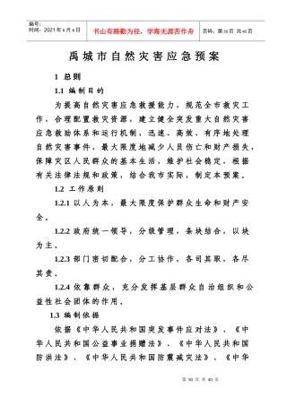 禹城市自然灾害应急预案
