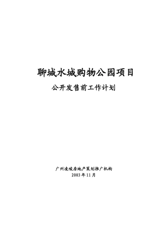 某购物公园项目公开发售前工作计划