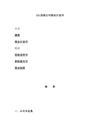 管理资料-XX担保公司商业计划书