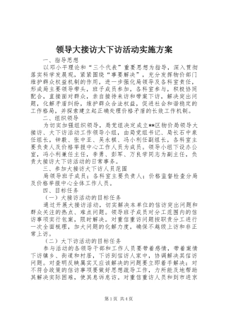 领导大接访大下访活动方案 