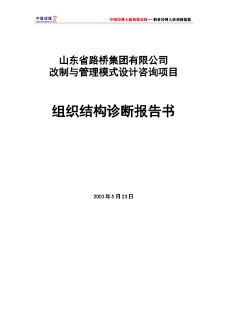组织结构诊断报告书(1)