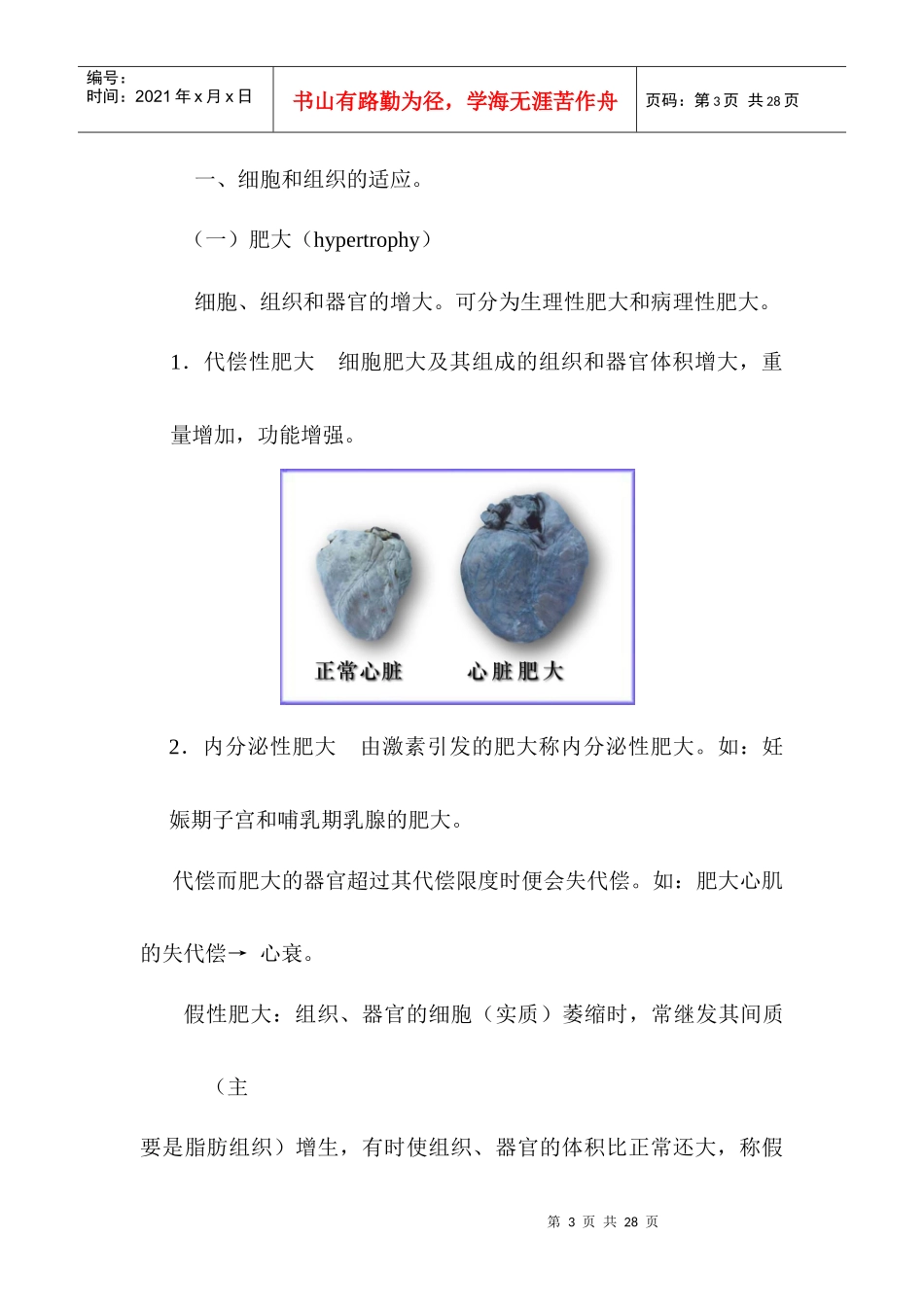 细胞组织的适应、损伤与修复_第3页