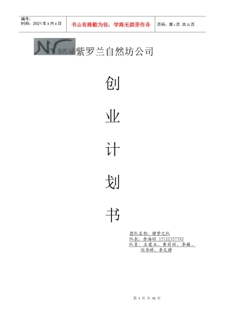 紫罗兰自然坊公司计划书