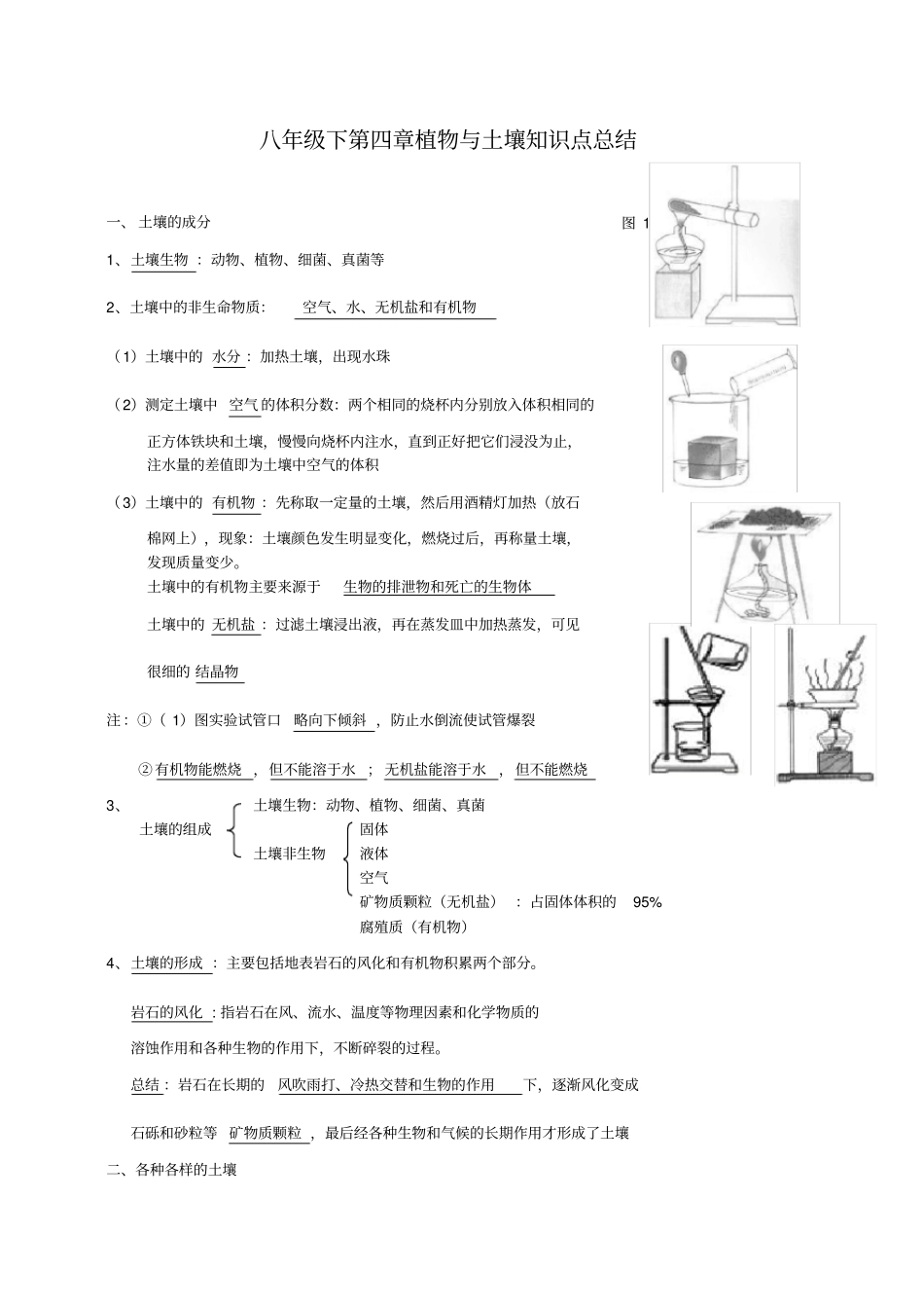 八年级下植物与土壤知识点总结_第1页