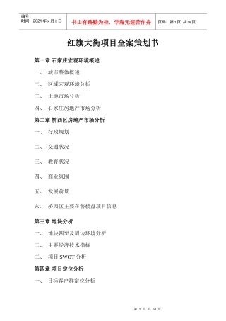 红旗大街项目全案策划书