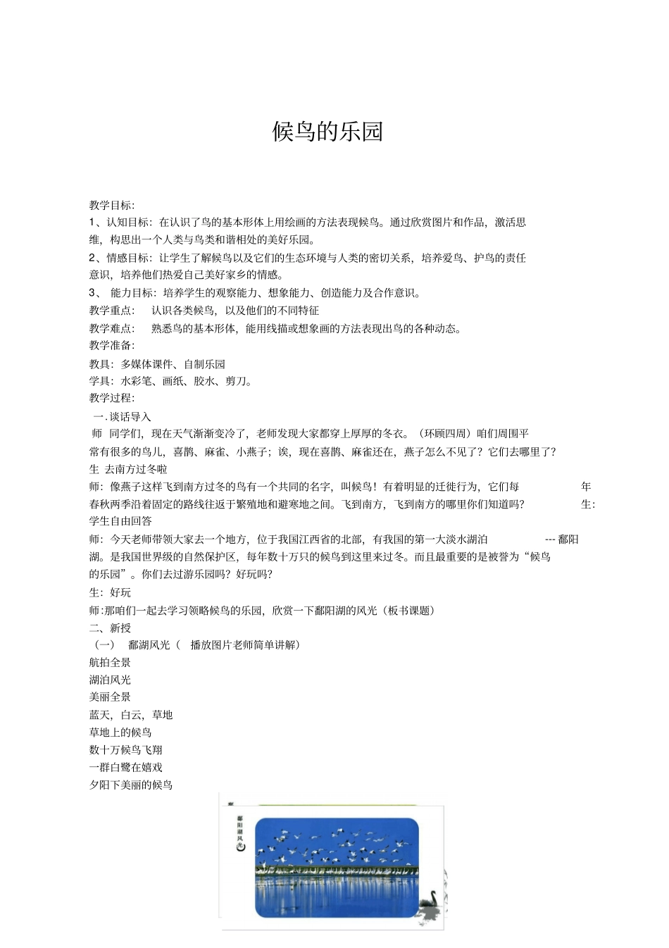 小学美术《候鸟的乐园》优质教案.教学设计_第1页