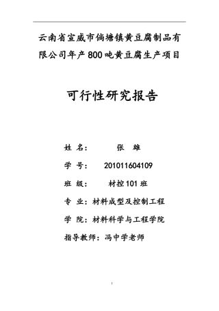 经济学可行性报告