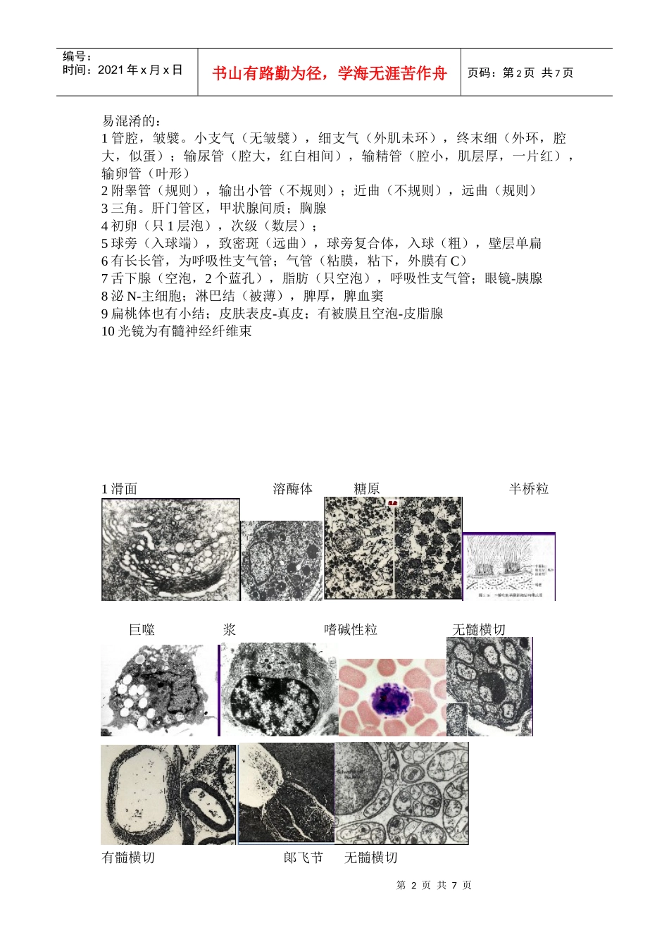 组织学与胚胎学(组胚)图谱考试完全攻略_第2页