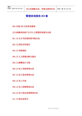 管理咨询报告453套-管理咨询报告(300套)