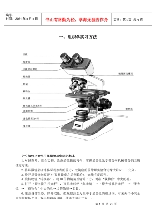 组织学实习方法