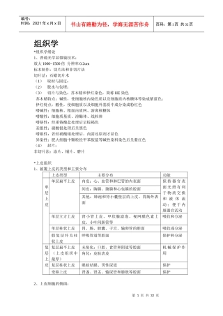 组织学与胚胎学重点归纳