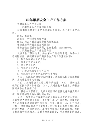 XX年汛期安全生产工作实施方案 