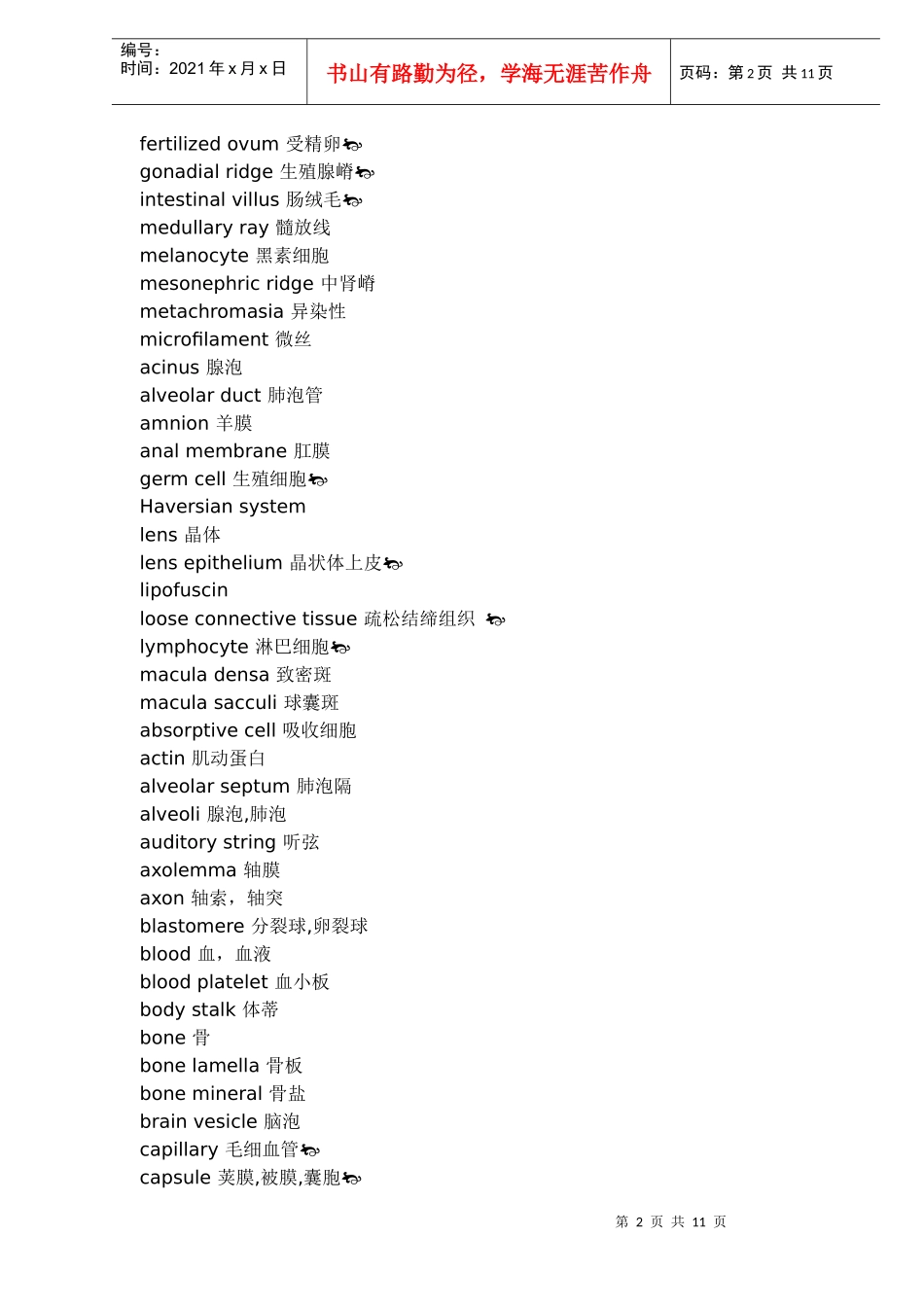 组织胚胎学词汇doc11(1)_第2页