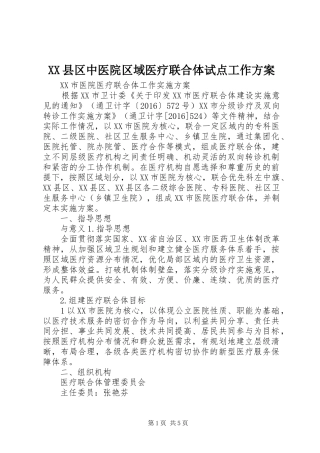 XX县区中医院区域医疗联合体试点工作实施方案 